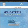 Wheater Functional Histology