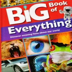 Big Book of Everything used books