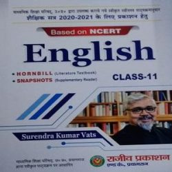 english-class-11 books