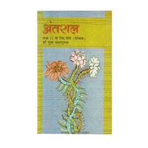 Antaral – Supplementary Hindi Literature 1