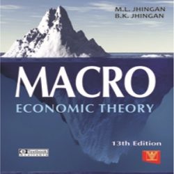 Macro-Economic Theory