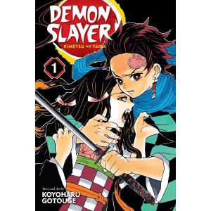 Demon Slayer Kimetsu No Yaiba, Vol. 1