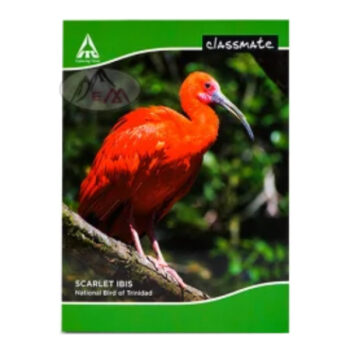 Classmate 1 cm Square-120 Page Soft Cover