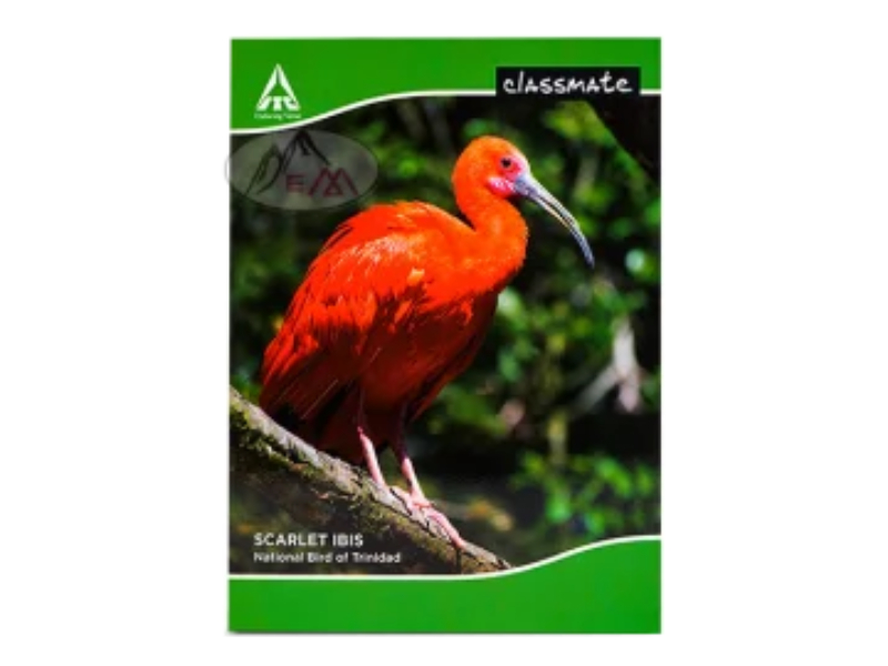 Classmate 1 cm Square-120 Page Soft Cover